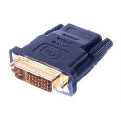 HDMI - DVI-D Converter 1